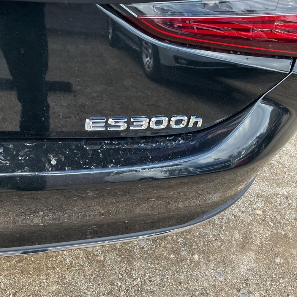 2024 Lexus ES 300h Base
