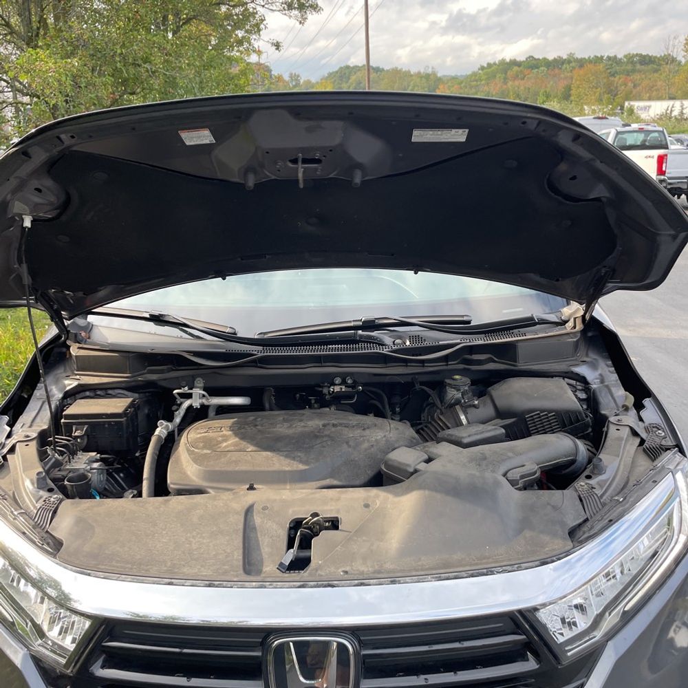 2023 Honda Odyssey Elite