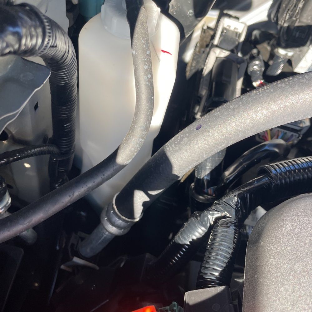 2025 Honda Passport TrailSport