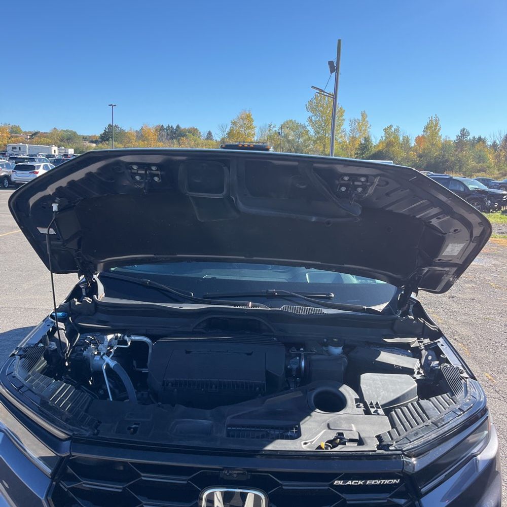 2025 Honda Pilot Black Edition