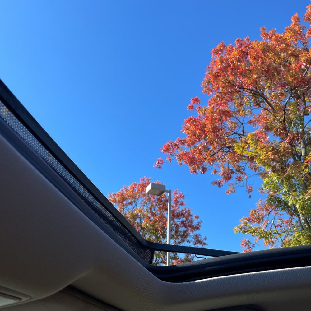 2024 Acura MDX w/Tech