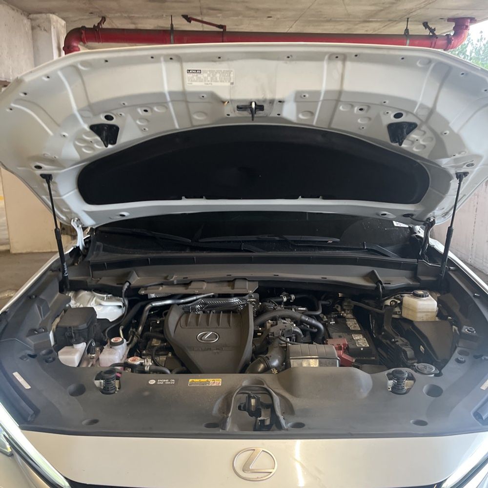 2024 Lexus TX 350 Premium
