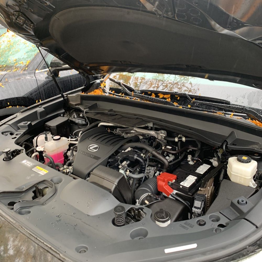 2024 Lexus TX 350 Base