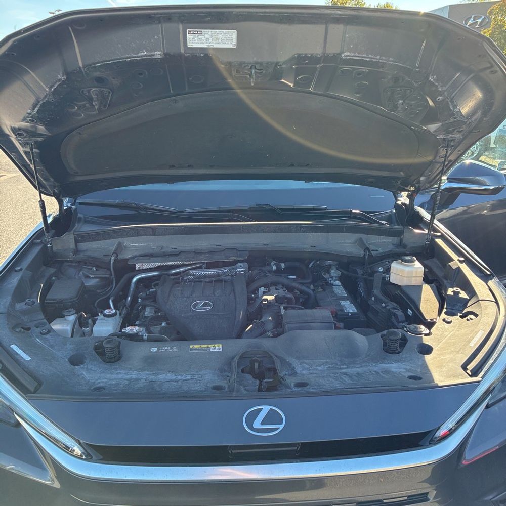 2024 Lexus TX 350 Base