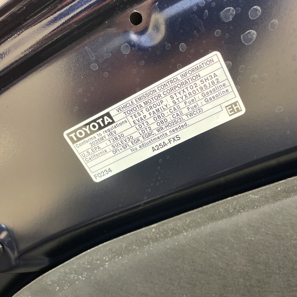 2025 Toyota Sienna Platinum 7-Passenger