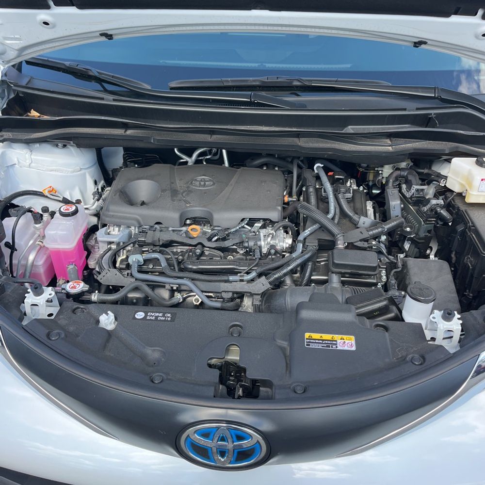 2025 Toyota Sienna XLE 7-Passenger