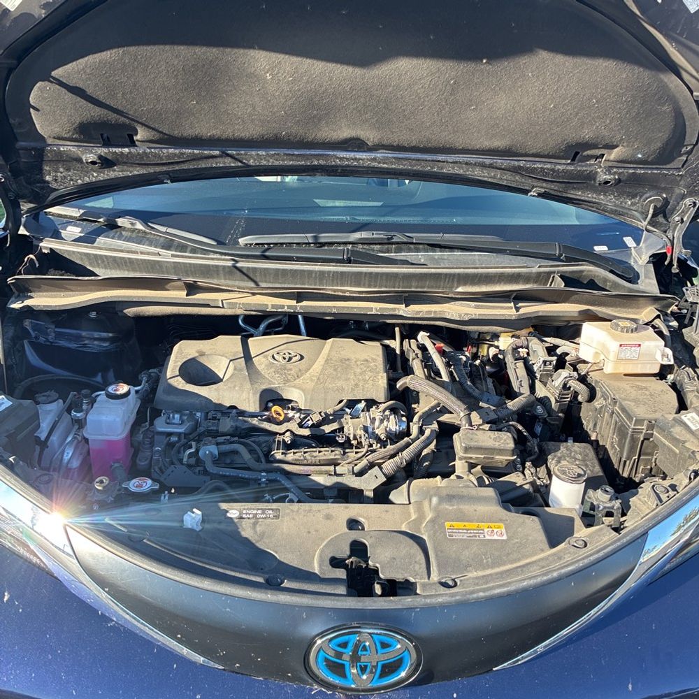 2024 Toyota Sienna XLE 8-Passenger