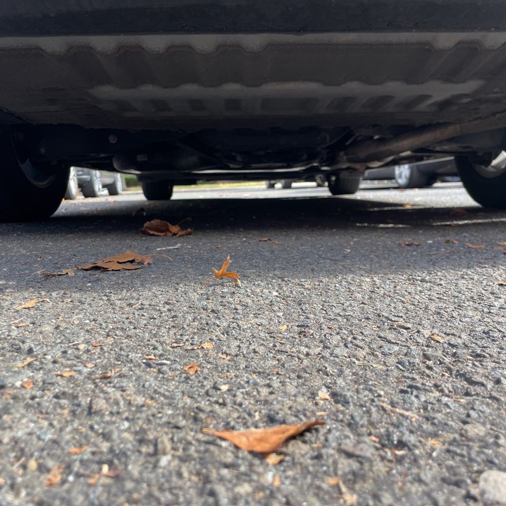 2022 Toyota Sienna XLE 7-Passenger