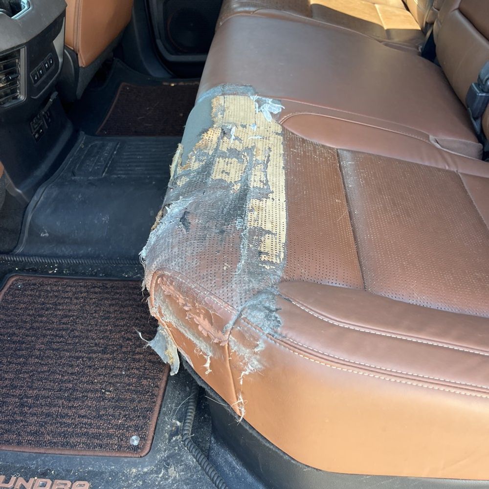 2023 Toyota Tundra 1794 Edition