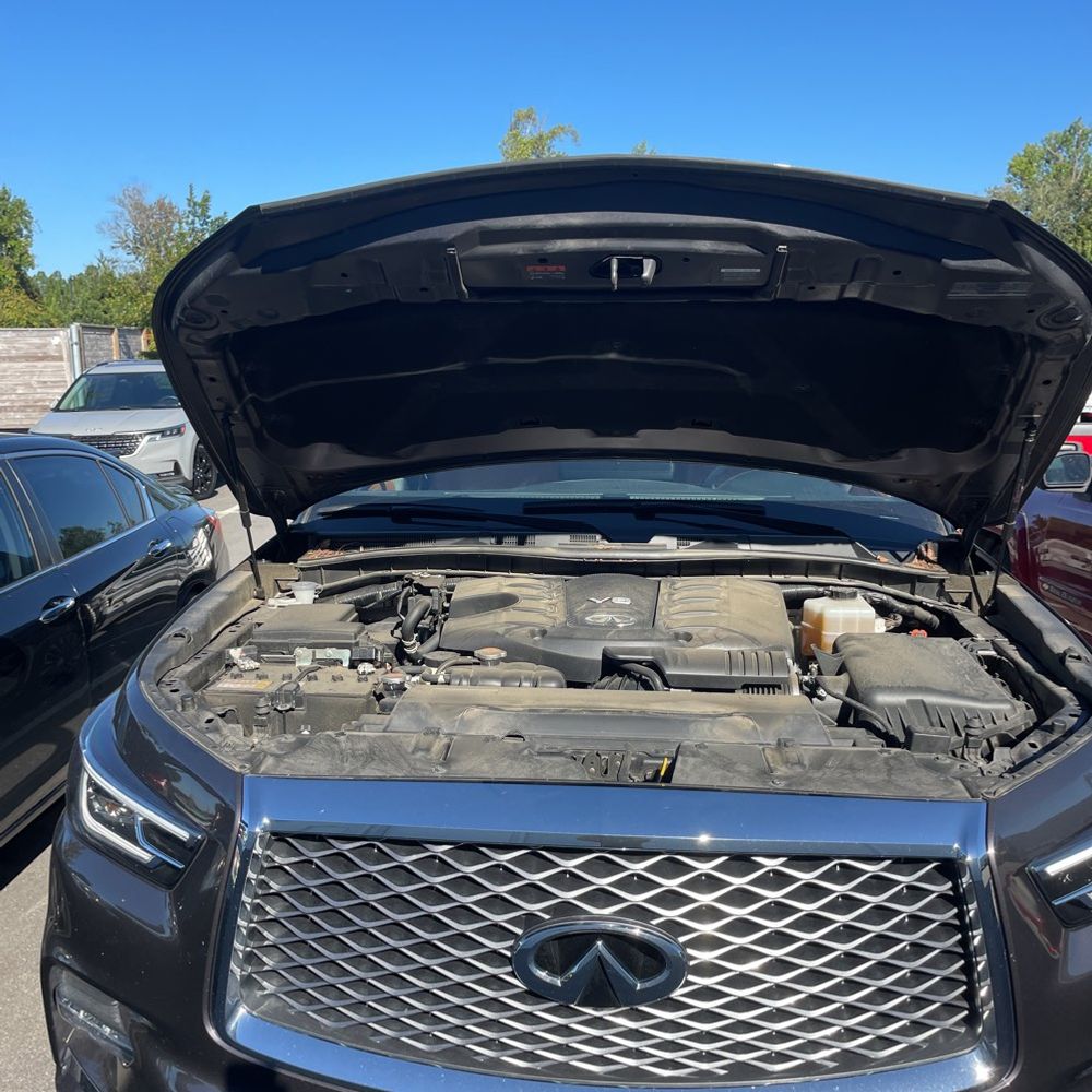 2023 INFINITI QX80 Sensory