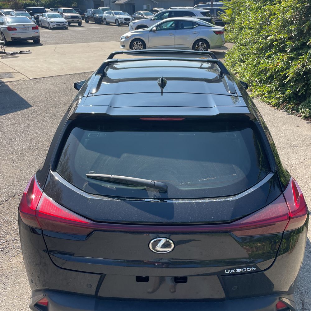 2025 Lexus UX 300h F SPORT Design