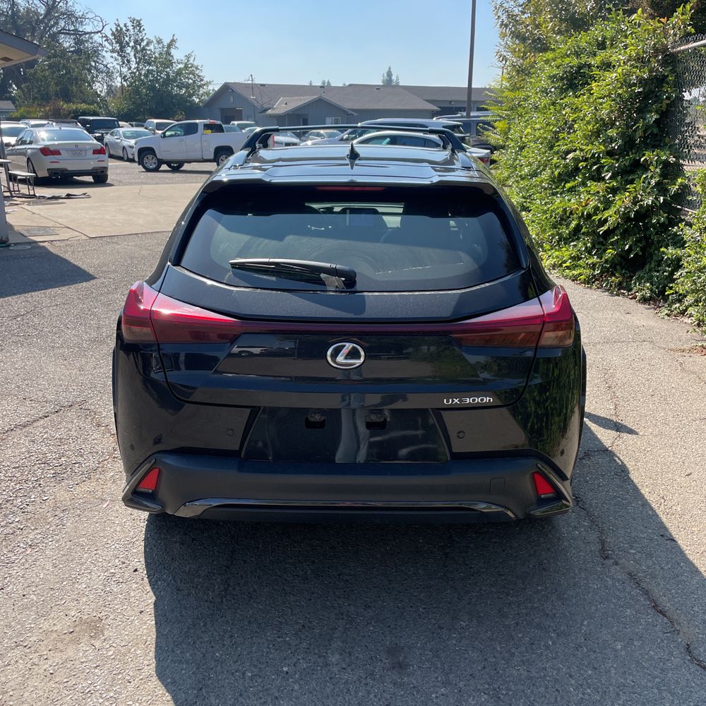 2025 Lexus UX 300h F SPORT Design