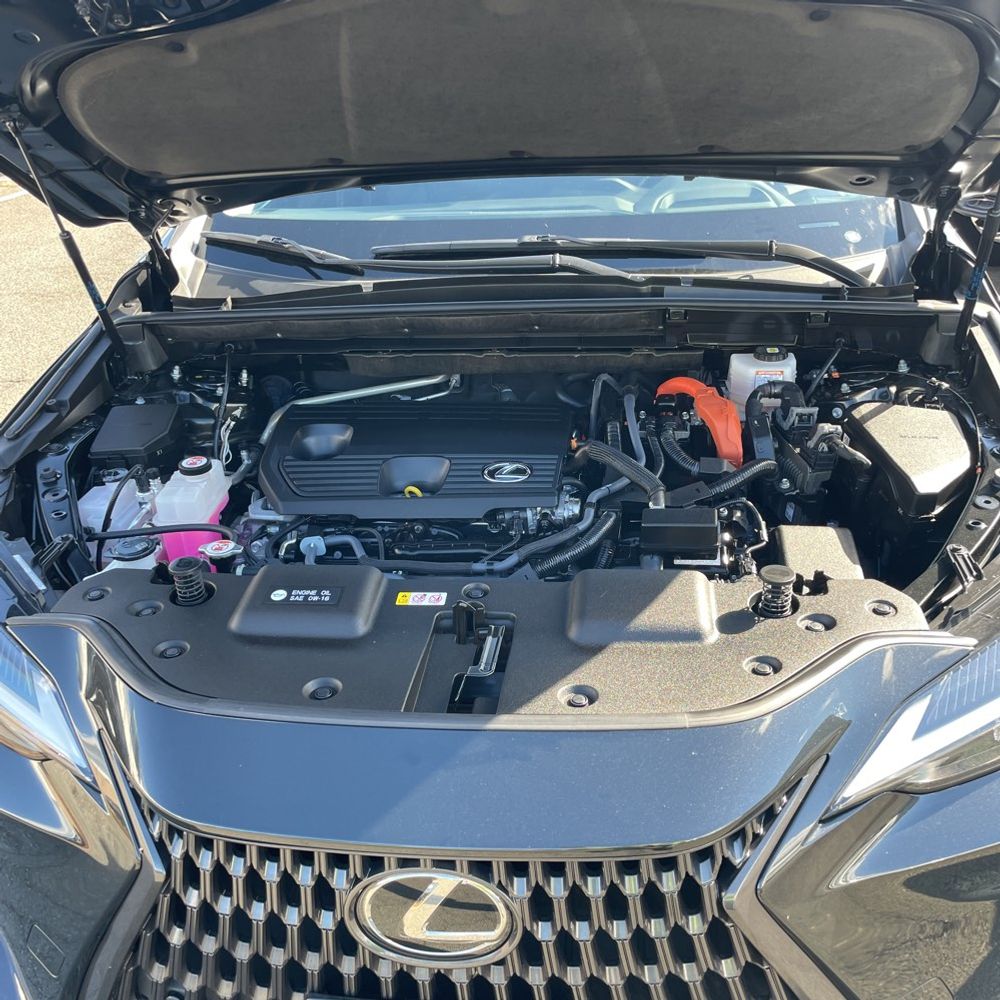 2024 Lexus NX 350h Premium