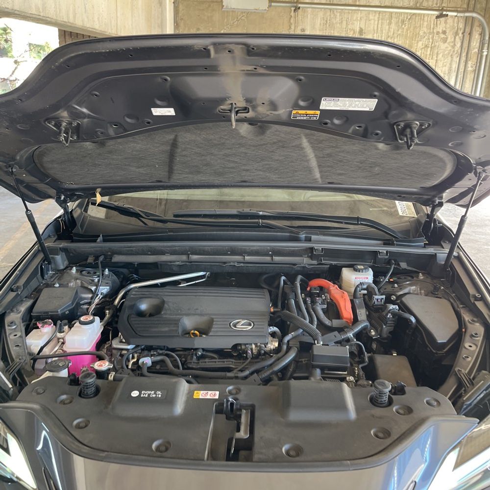 2023 Lexus NX 350h Premium