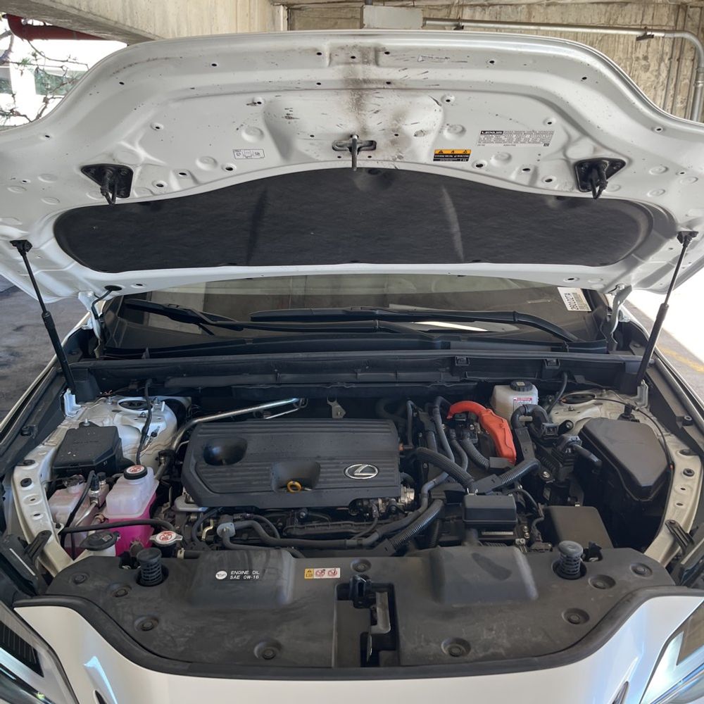2024 Lexus NX 350h Premium