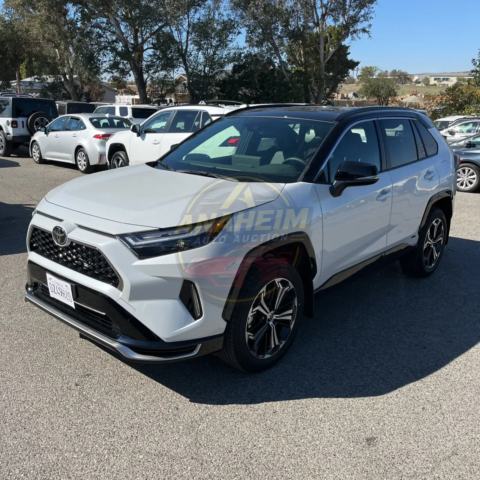 2025 Toyota RAV4 Plug-in Hybrid XSE