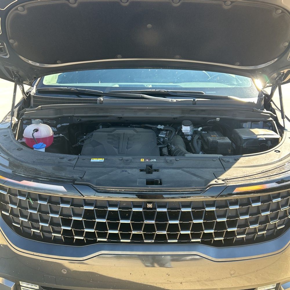 2025 Kia Carnival SX