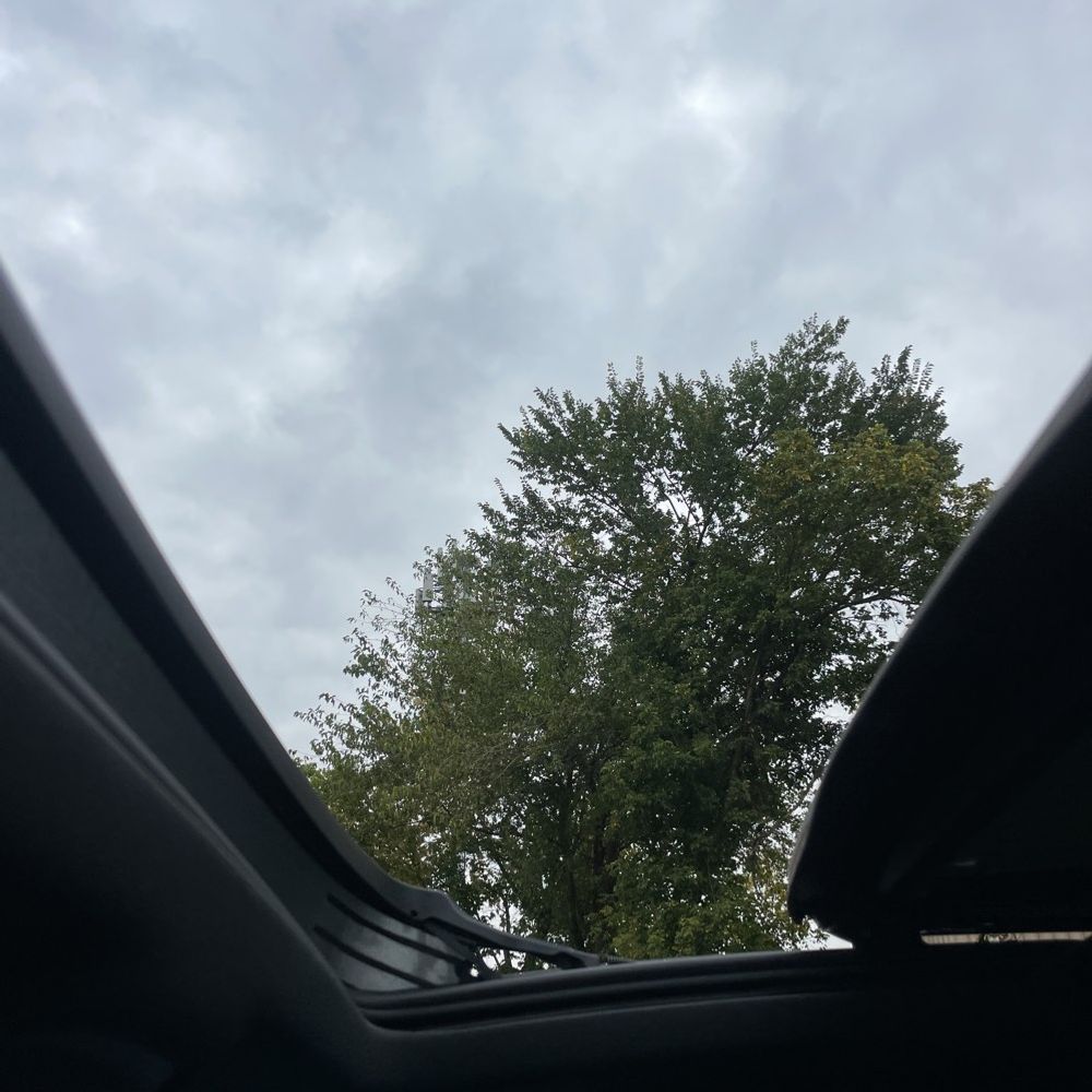 2023 Audi Q8 Premium Plus 55 TFSI
