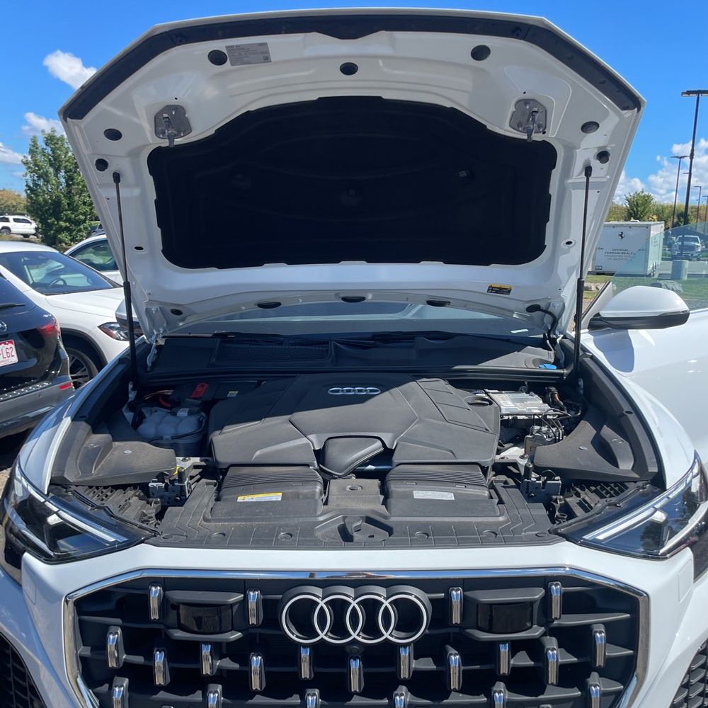 2024 Audi Q8 Premium Plus 55