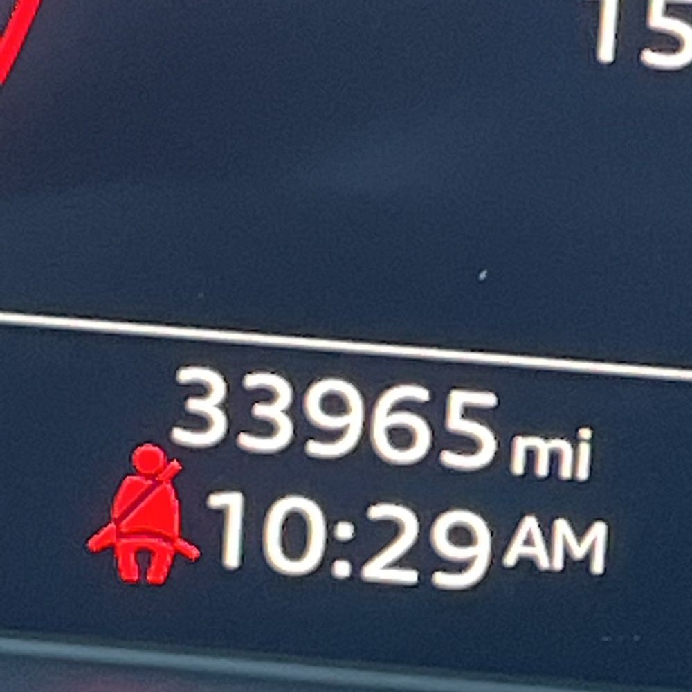 2024 Audi S5 Premium Plus
